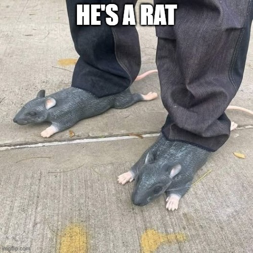 Rats | HE'S A RAT | image tagged in unsee juice | made w/ Imgflip meme maker