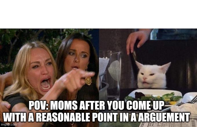 Woman Yelling At Cat | POV: MOMS AFTER YOU COME UP WITH A REASONABLE POINT IN A ARGUEMENT | image tagged in memes,woman yelling at cat | made w/ Imgflip meme maker