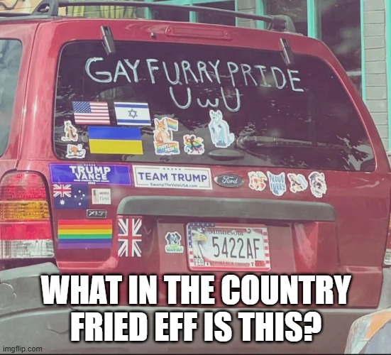 Can't Pick a Side? | WHAT IN THE COUNTRY FRIED EFF IS THIS? | image tagged in politics | made w/ Imgflip meme maker