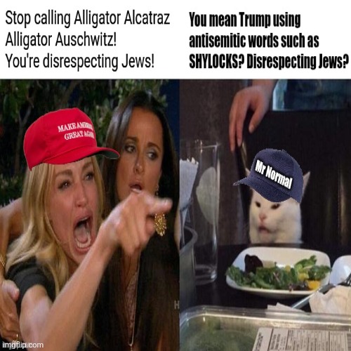 The Irony of Maga | image tagged in donald trump,maga,irony,aligator,concentration camp,florida | made w/ Imgflip meme maker