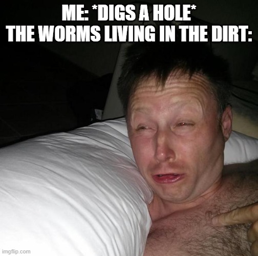 Limmy waking up | ME: *DIGS A HOLE*
THE WORMS LIVING IN THE DIRT: | image tagged in limmy waking up,memes,idk what to put here | made w/ Imgflip meme maker