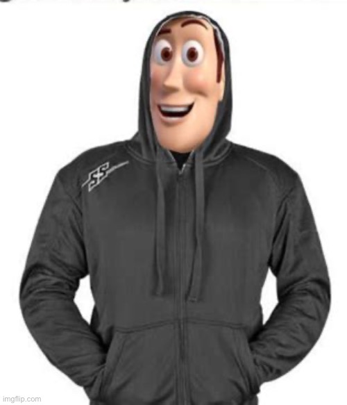 Woody wearing a hoodie | image tagged in funny,toy story,hoodie,woody | made w/ Imgflip meme maker