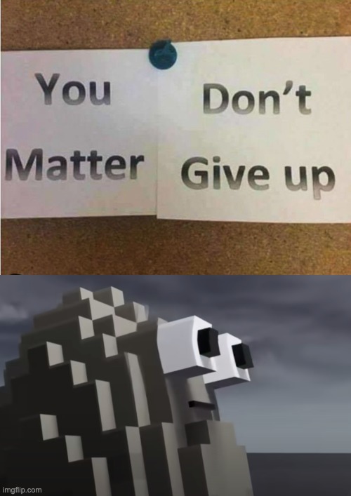 Why | image tagged in pvz,plants vs zombies | made w/ Imgflip meme maker