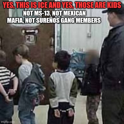 Not Gang Members | NOT MS-13, NOT MEXICAN MAFIA, NOT SUREÑOS GANG MEMBERS; YES, THIS IS ICE AND YES, THOSE ARE KIDS | image tagged in trump,gop,maga,nazi,fascist,not gangs | made w/ Imgflip meme maker