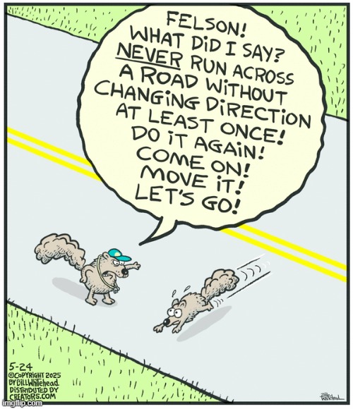 Free Range | image tagged in comics | made w/ Imgflip meme maker