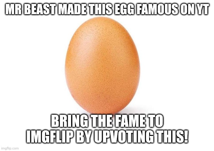 Cmon imgflip community, we can do it. | MR BEAST MADE THIS EGG FAMOUS ON YT; BRING THE FAME TO IMGFLIP BY UPVOTING THIS! | image tagged in trending,trends,mr beast,funny,egg | made w/ Imgflip meme maker