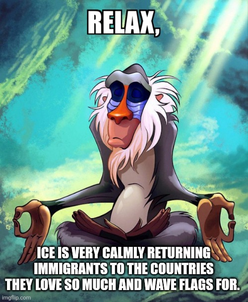 ICE IS VERY CALMLY RETURNING IMMIGRANTS TO THE COUNTRIES THEY LOVE SO MUCH AND WAVE FLAGS FOR. | image tagged in funny memes | made w/ Imgflip meme maker