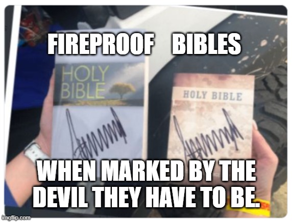 Fireproof bibles | FIREPROOF    BIBLES; WHEN MARKED BY THE DEVIL THEY HAVE TO BE. | image tagged in devil's mark | made w/ Imgflip meme maker