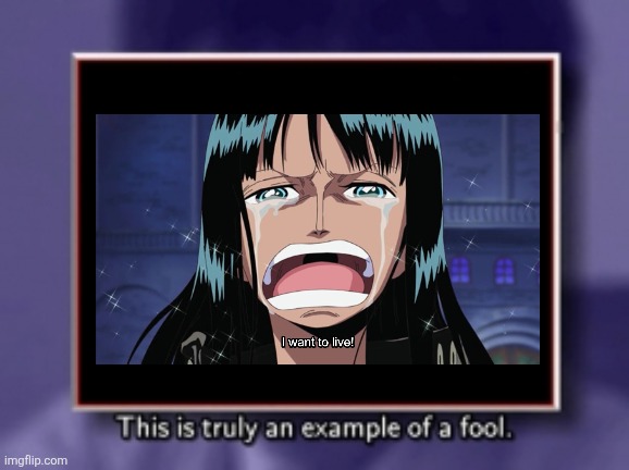 this is truly an example of a fool | image tagged in this is truly an example of a fool | made w/ Imgflip meme maker