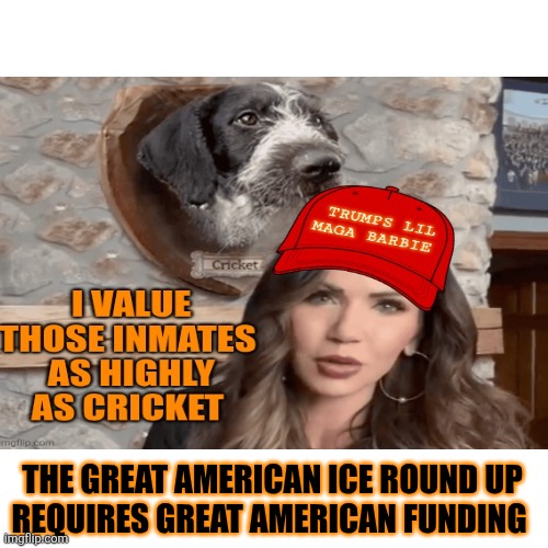Blank Transparent Square Meme | THE GREAT AMERICAN ICE ROUND UP
REQUIRES GREAT AMERICAN FUNDING | image tagged in memes,blank transparent square | made w/ Imgflip meme maker