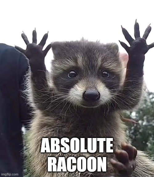 Absolute racoon | ABSOLUTE
RACOON | image tagged in raccoon,absolute cinema | made w/ Imgflip meme maker