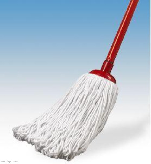 NOBLE MOP FIGHTER | image tagged in noble mop fighter | made w/ Imgflip meme maker