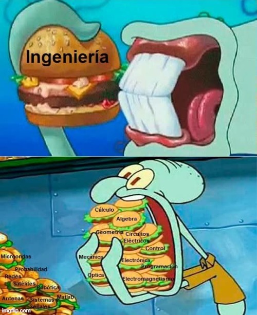 9zg95y.jpg