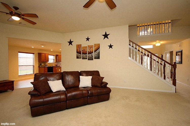 Living room ceiling fans | image tagged in living room ceiling fans | made w/ Imgflip meme maker