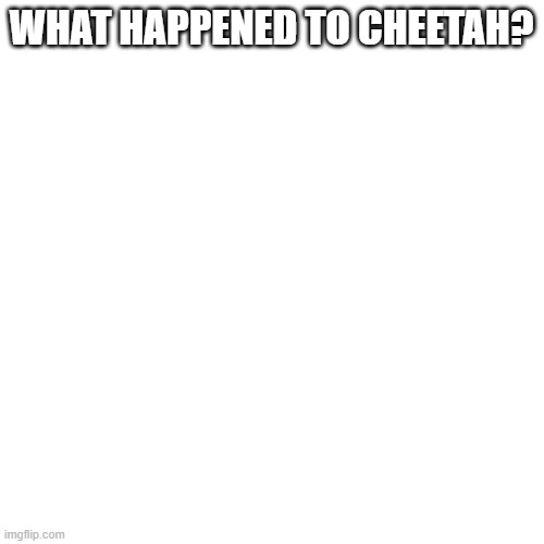 . | WHAT HAPPENED TO CHEETAH? | image tagged in doge on topic | made w/ Imgflip meme maker