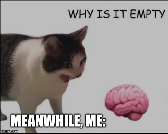 why is it empty? | MEANWHILE, ME: | image tagged in why is it empty | made w/ Imgflip meme maker