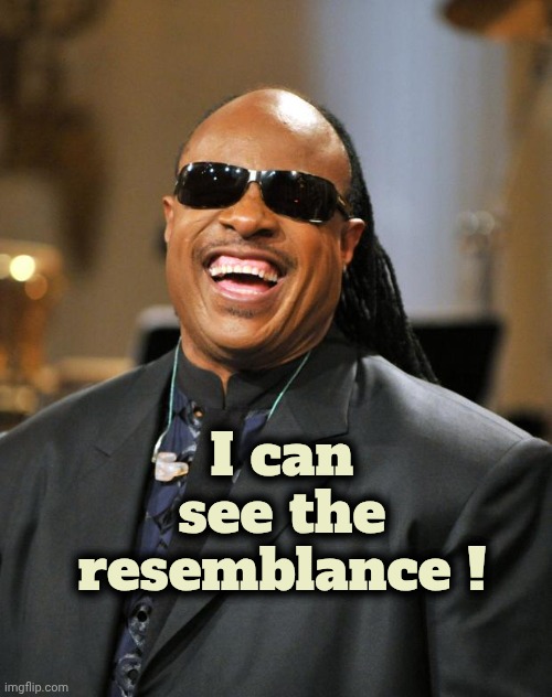 Stevie Wonder | I can see the resemblance ! | image tagged in stevie wonder | made w/ Imgflip meme maker