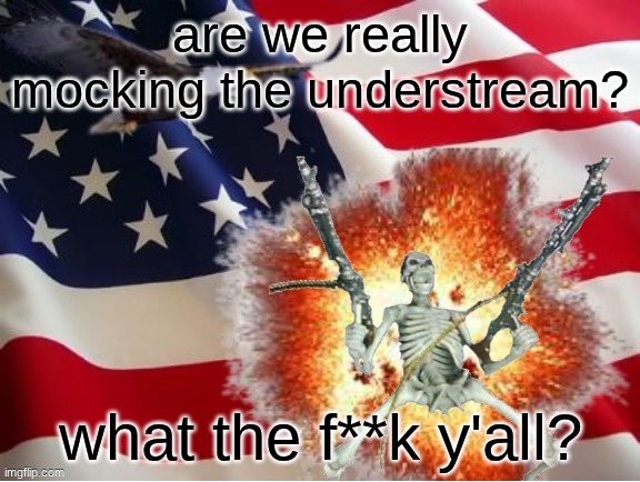 AMERICA!!!!!!!!!!!!!!!!!!!!!!!!!! | are we really mocking the understream? what the f**k y'all? | image tagged in america | made w/ Imgflip meme maker