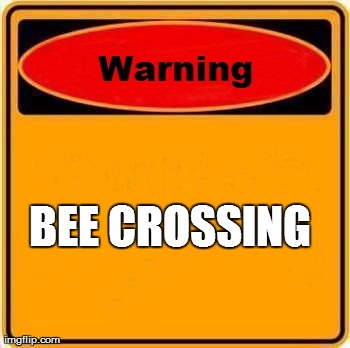 Warning Sign | BEE CROSSING | image tagged in memes,warning sign | made w/ Imgflip meme maker
