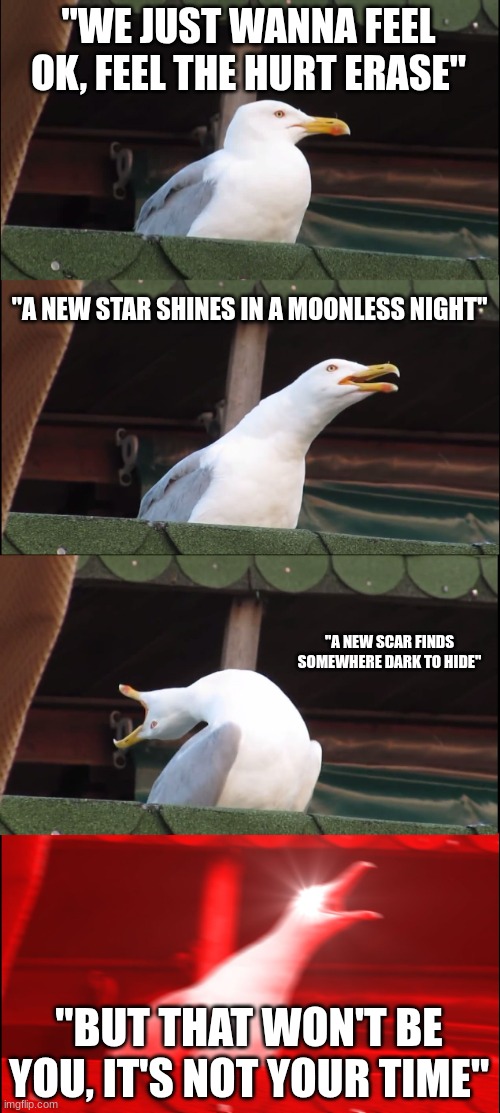 that buildup tho | "WE JUST WANNA FEEL OK, FEEL THE HURT ERASE"; "A NEW STAR SHINES IN A MOONLESS NIGHT"; "A NEW SCAR FINDS SOMEWHERE DARK TO HIDE"; "BUT THAT WON'T BE YOU, IT'S NOT YOUR TIME" | image tagged in memes,inhaling seagull | made w/ Imgflip meme maker