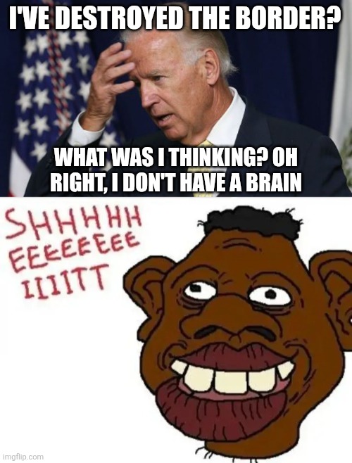 I'VE DESTROYED THE BORDER? WHAT WAS I THINKING? OH RIGHT, I DON'T HAVE A BRAIN | image tagged in joe biden worries | made w/ Imgflip meme maker