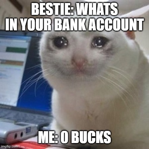 Whats in your bank account | BESTIE: WHATS IN YOUR BANK ACCOUNT; ME: 0 BUCKS | image tagged in crying cat | made w/ Imgflip meme maker
