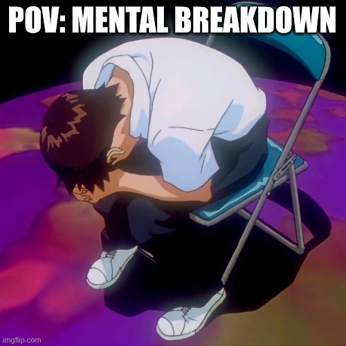 POV: MENTAL BREAKDOWN | image tagged in shinji having a mental breakdown | made w/ Imgflip meme maker