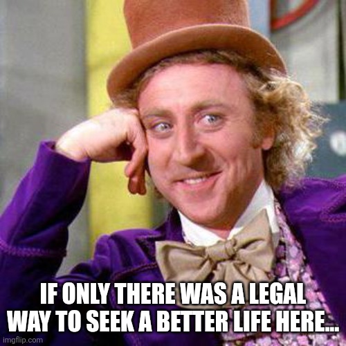 Willy Wonka Blank | IF ONLY THERE WAS A LEGAL WAY TO SEEK A BETTER LIFE HERE... | image tagged in willy wonka blank | made w/ Imgflip meme maker