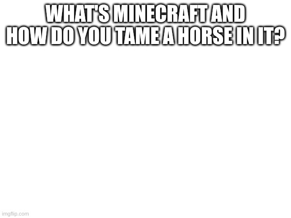 Question from Stan's father | WHAT'S MINECRAFT AND HOW DO YOU TAME A HORSE IN IT? | image tagged in south park | made w/ Imgflip meme maker