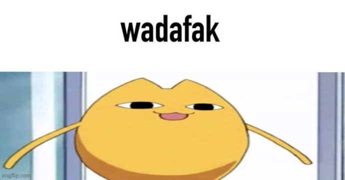 @animevac | image tagged in wadafak | made w/ Imgflip meme maker