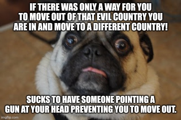 Pug worried | IF THERE WAS ONLY A WAY FOR YOU TO MOVE OUT OF THAT EVIL COUNTRY YOU ARE IN AND MOVE TO A DIFFERENT COUNTRY! SUCKS TO HAVE SOMEONE POINTING  | image tagged in pug worried | made w/ Imgflip meme maker