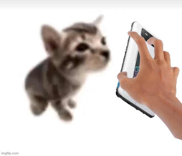 El gatito phone | image tagged in el gatito phone | made w/ Imgflip meme maker