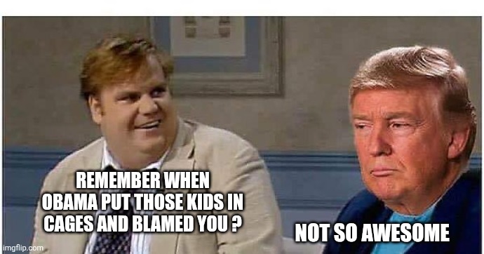 Remember that time | REMEMBER WHEN OBAMA PUT THOSE KIDS IN CAGES AND BLAMED YOU ? NOT SO AWESOME | image tagged in remember that time | made w/ Imgflip meme maker