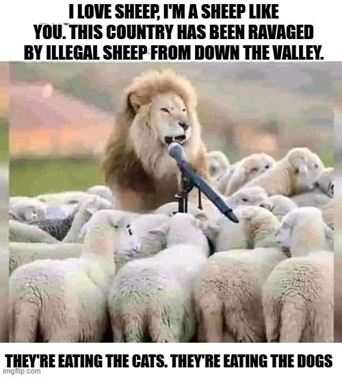 i love Trump speeches? | I LOVE SHEEP, I'M A SHEEP LIKE YOU. THIS COUNTRY HAS BEEN RAVAGED BY ILLEGAL SHEEP FROM DOWN THE VALLEY. THEY'RE EATING THE CATS. THEY'RE EATING THE DOGS | made w/ Imgflip meme maker