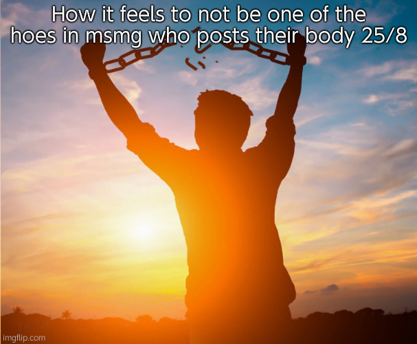 No simps, I can live a peaceful life. | How it feels to not be one of the hoes in msmg who posts their body 25/8 | image tagged in man breaking free from chains over the sunset | made w/ Imgflip meme maker