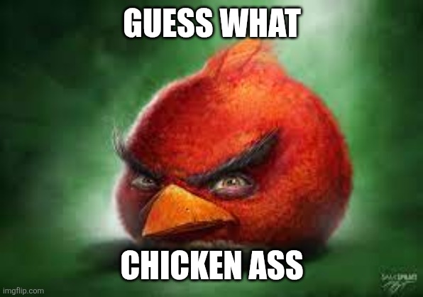 Realistic Red Angry Birds | GUESS WHAT; CHICKEN ASS | image tagged in realistic red angry birds | made w/ Imgflip meme maker