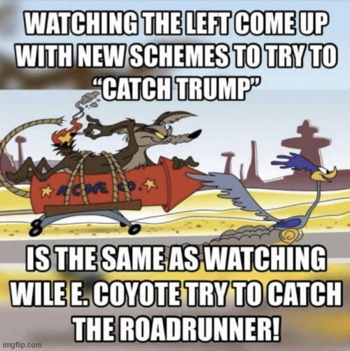 Don't they know the coyote always lost? | image tagged in political,reposts,never learn | made w/ Imgflip meme maker