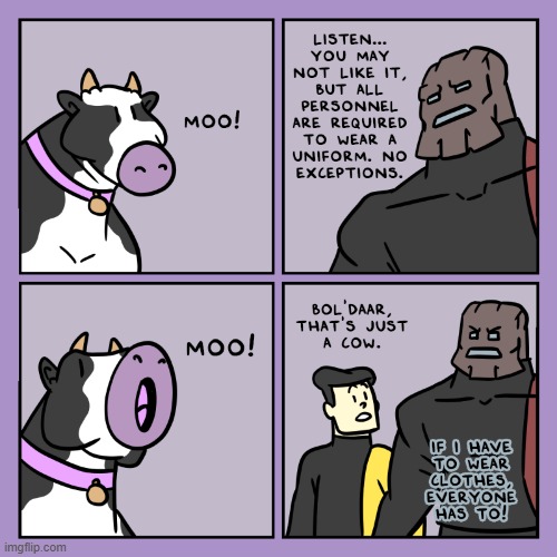 image tagged in stars,rock,uniform,clothes,cow,moo | made w/ Imgflip meme maker