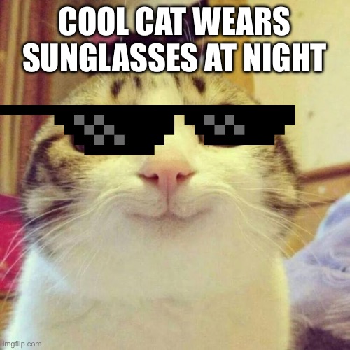 Smiling Cat | COOL CAT WEARS SUNGLASSES AT NIGHT | image tagged in memes,smiling cat,cat,sunglasses,deal with it,cool cat stroll | made w/ Imgflip meme maker