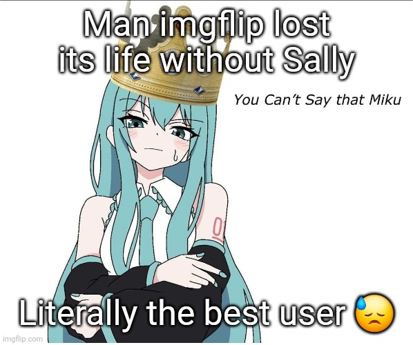 You cant say that miku | Man imgflip lost its life without Sally; Literally the best user 😓 | image tagged in you cant say that miku | made w/ Imgflip meme maker