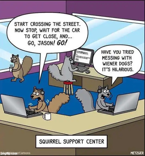 Support center | image tagged in repost,squirrel,support center | made w/ Imgflip meme maker