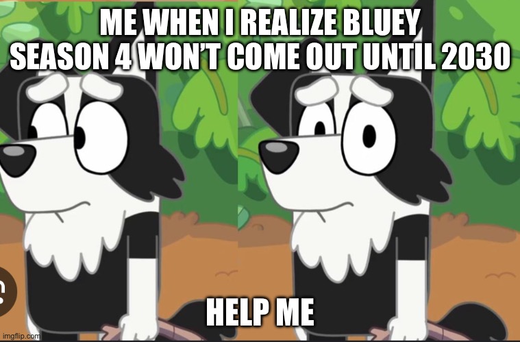 Mackenzie looking at the camera | ME WHEN I REALIZE BLUEY SEASON 4 WON’T COME OUT UNTIL 2030; HELP ME | image tagged in mackenzie looking at the camera | made w/ Imgflip meme maker