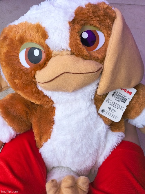 I won a gizmo | made w/ Imgflip meme maker