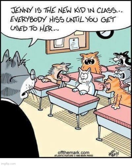 It won’t be long… | image tagged in cats,comics,classroom,hissing | made w/ Imgflip meme maker