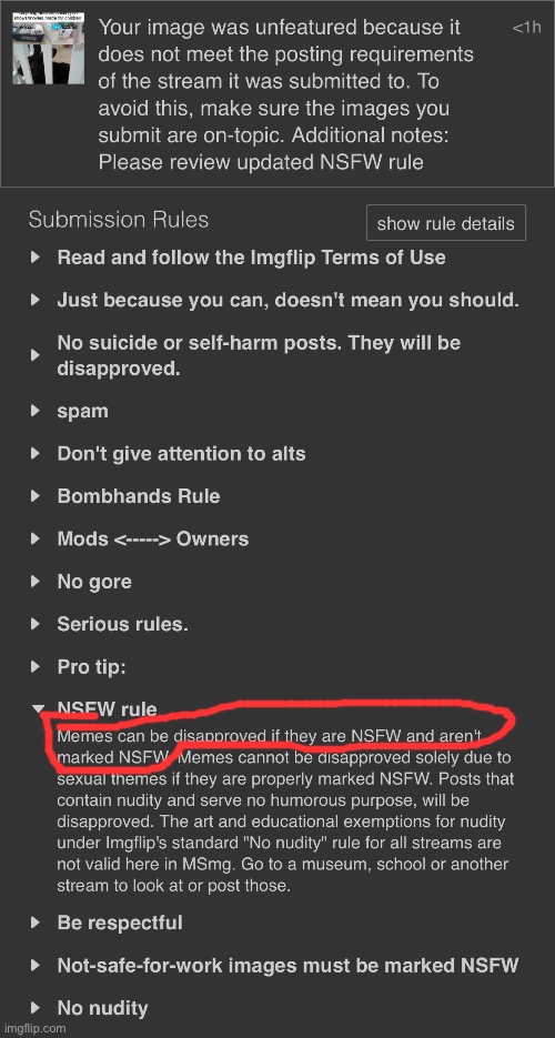 Is this an excuse for mod abuse or what | image tagged in msmg,mod abuse | made w/ Imgflip meme maker
