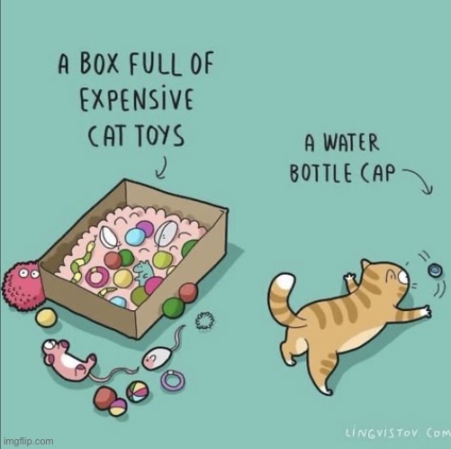 The simple things in (cat) life… | image tagged in cats,comics,box of toys,bottle cap,simple things | made w/ Imgflip meme maker