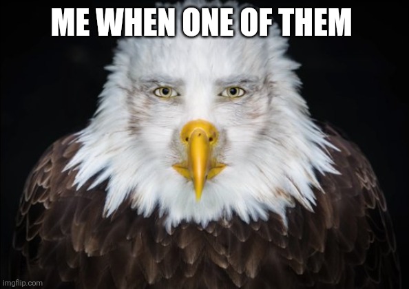 Bald Eagle Stare | ME WHEN ONE OF THEM | image tagged in bald eagle stare | made w/ Imgflip meme maker