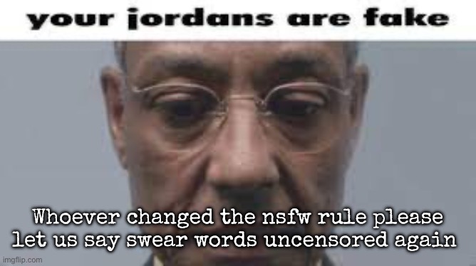 I would say more but | Whoever changed the nsfw rule please let us say swear words uncensored again | image tagged in your jordans are fake,msmg | made w/ Imgflip meme maker