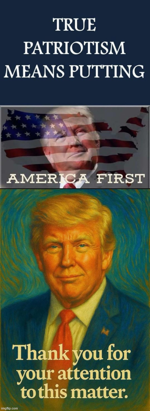 True patriotism | image tagged in true patriotism | made w/ Imgflip meme maker