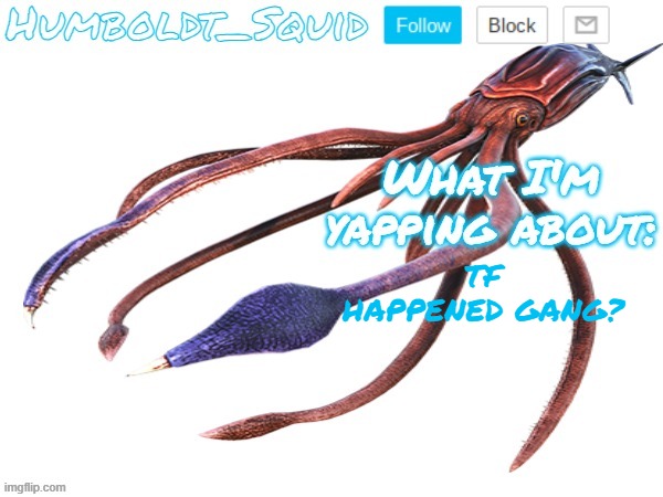 Humboldt_Squid Announcement Template | TF HAPPENED GANG? | made w/ Imgflip meme maker